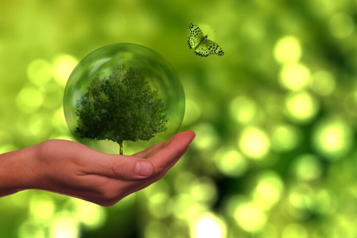 Nachhaltigkeit als Wettbewerbsvorteil für jedes Start-up. by Gerd Altmann from Pixabay