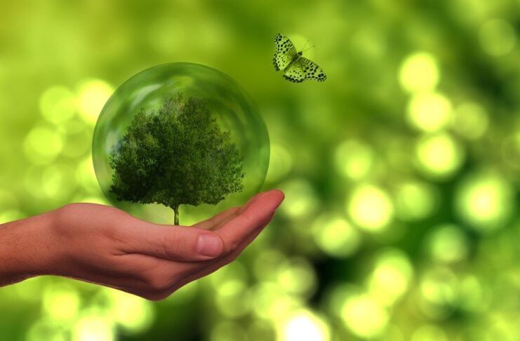 Nachhaltigkeit als Wettbewerbsvorteil für jedes Start-up. by Gerd Altmann from Pixabay