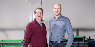 Warum Garnelen plötzlich keine Weltreise mehr machen müssen Gamba Zamba: Garnelen nachhaltig in Deutschland züchten