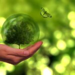 Sustainable Scaling: Wie nachhaltiges Wachstum wirklich funktioniert Nachhaltiges Wachstum: So skalieren Green Startups richtig. Image by Gerd Altmann from Pixabay