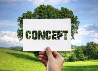 Energie der Zukunft – wie Greentech-Startups die Klimawende vorantreiben Greentech Startups: Nachhaltige Innovationen Energie der Zukunft Image by Gerd Altmann from Pixabay