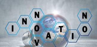 Bioökonomie Startups – grüne Innovation aus dem Labor Bioökonomie Startups: Grüne Innovation und nachhaltige Biotechnologie Image by andreas_baetz from Pixabay