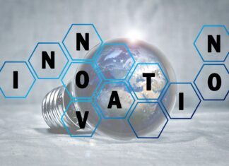 Bioökonomie Startups – grüne Innovation aus dem Labor Bioökonomie Startups: Grüne Innovation und nachhaltige Biotechnologie Image by andreas_baetz from Pixabay