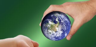 Purpose Economy – warum Werte das neue Kapital sind Purpose Economy zeigt, wie werteorientiertes Gründen und nachhaltige Unternehmensführung den Unternehmenserfolg der Zukunft prägen. Image by Dorothe Wouters from Pixabay