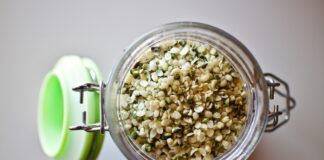 Moderne Ernährungskonzepte auf der Basis von Hanf Moderne Ernährungskonzepte mit Hanf Bild von pixabay