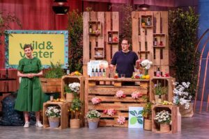 Wild&Water begeistert bei Höhle der Löwen und erlebt Nachfrageboom