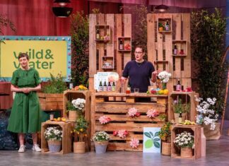 Wild&Water begeistert bei Höhle der Löwen und erlebt Nachfrageboom Büros entdecken Wild&Water nach Höhle der Löwen Bild: Gründerinnen Christina Schwörbel und Madlen Baetzgen ©RTL / Bernd-Michael Maurer