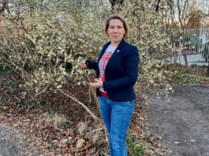 Deine kleinsten Gefäße steuern Deine größte Energie – Warum Allergien Deine Karriere bremsen