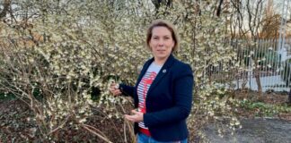 Deine kleinsten Gefäße steuern Deine größte Energie – Warum Allergien Deine Karriere bremsen Mikrozirkulation Allergien Entzündung besser verstehen Heike Melzer