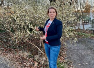 Deine kleinsten Gefäße steuern Deine größte Energie – Warum Allergien Deine Karriere bremsen Mikrozirkulation Allergien Entzündung besser verstehen Heike Melzer