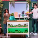 Warum wächst dein Superfood nicht einfach bei dir? MySpirulina Spirulina und Algen für zuhause Bild: Sara Farzaneh und Ben Schwedhelm präsentieren mit „MySpirulina“ eine autarke Spirulina-Farm. Sie erhoffen sich ein Investment von 200.000 Euro für 10 Prozent der Firmenanteile. Bildrechte/ Fotograf: RTL / Bernd-Michael Maurer