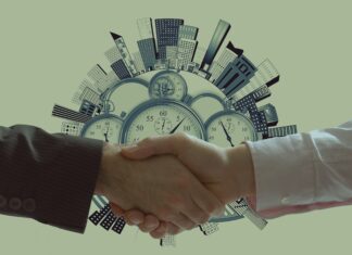 Vom MVP zum Enterprise-System: Wie die richtige WordPress-Agentur Ihr Startup skaliert WordPress Webdesign Agentur für Startup skalieren Bild von Gerd Altmann auf Pixabay