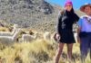 Alpaca MGO: Alpakafaser und Mode aus Peru Gründerin Maggie Garcia mit Alpakas im Hintergrund
