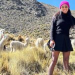 Alpaca MGO: Alpakafaser und Mode aus Peru Gründerin Maggie Garcia mit Alpakas im Hintergrund