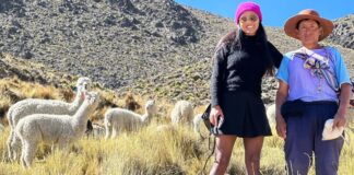 Alpaca MGO: Alpakafaser und Mode aus Peru Gründerin Maggie Garcia mit Alpakas im Hintergrund