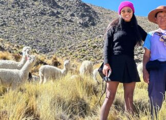 Alpaca MGO: Alpakafaser und Mode aus Peru Gründerin Maggie Garcia mit Alpakas im Hintergrund