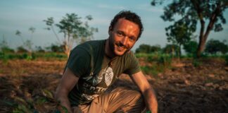 Mit Bäumen zum Business: Wenn Umweltschutz zum Erfolgsmodell wird Unternehmen: Click A Tree unterstützt Weltrekord Chris Kaiser Gründer