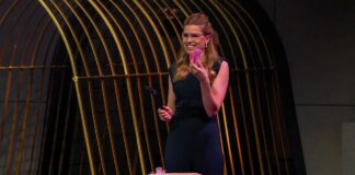 Höhle der Löwen: ivyclip bringt die erste schmerzfreie Haarklammer ivyclip: Haarklammer in der Höhle der Löwen Bild Leonie Neisinger, Gründerin von ivyclip Foto: RTL