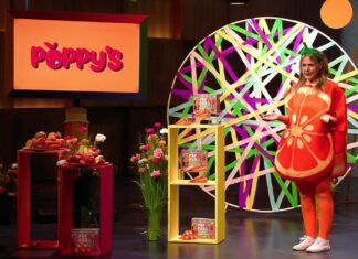 Mit Eis rein, ohne raus: Der ungewöhnliche Höhle der Löwen-Deal für Poppys Poppys: Eis trifft Die Höhle der Löwen Bild Alena Leeb, Gründerin von Poppy`s Eis Foto: RTL
